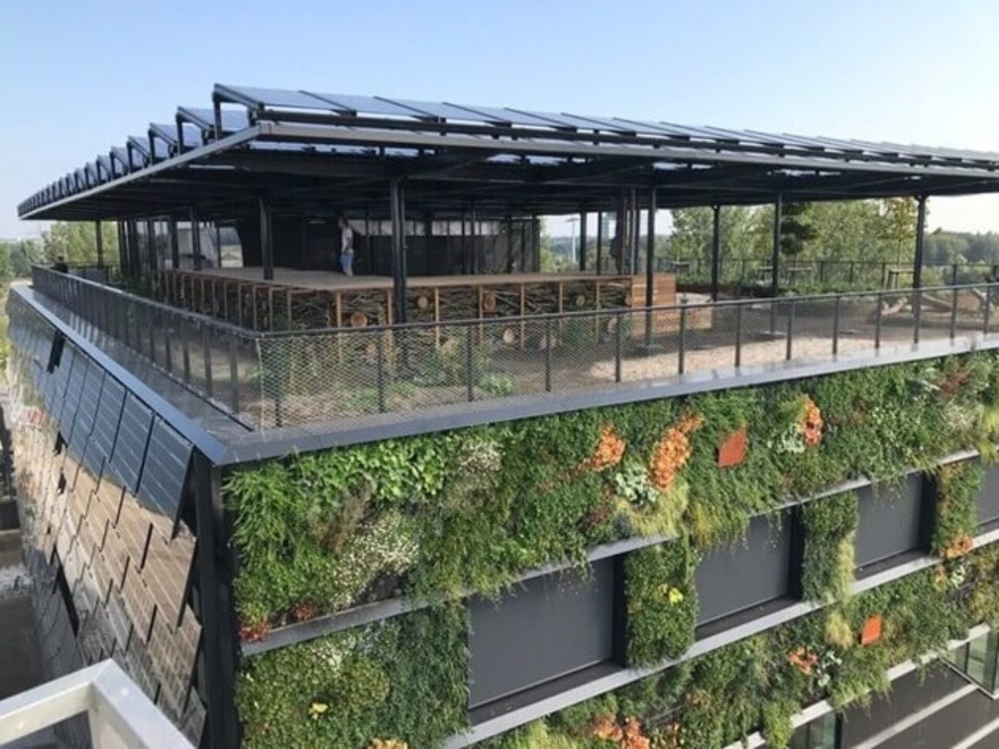 Succesvol natuurinclusief bouwen