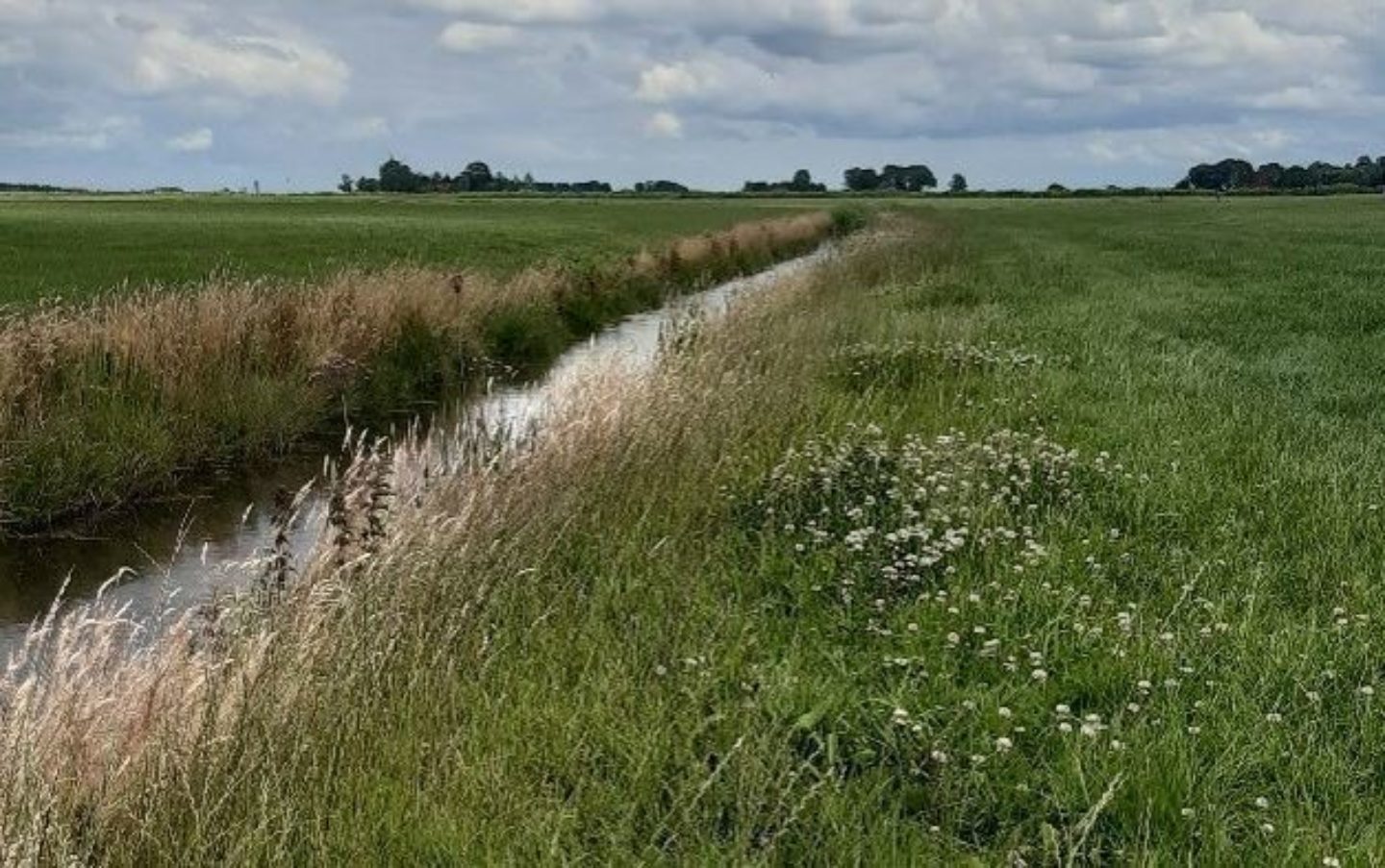 Bedrijfsnatuurplan verbindt landbouw en ecologie