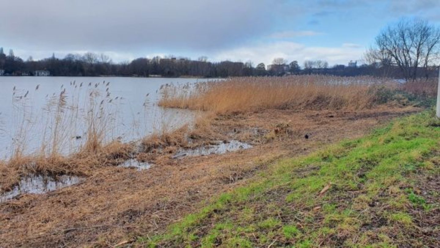 Oeverinspecties voor de gemeente Amsterdam