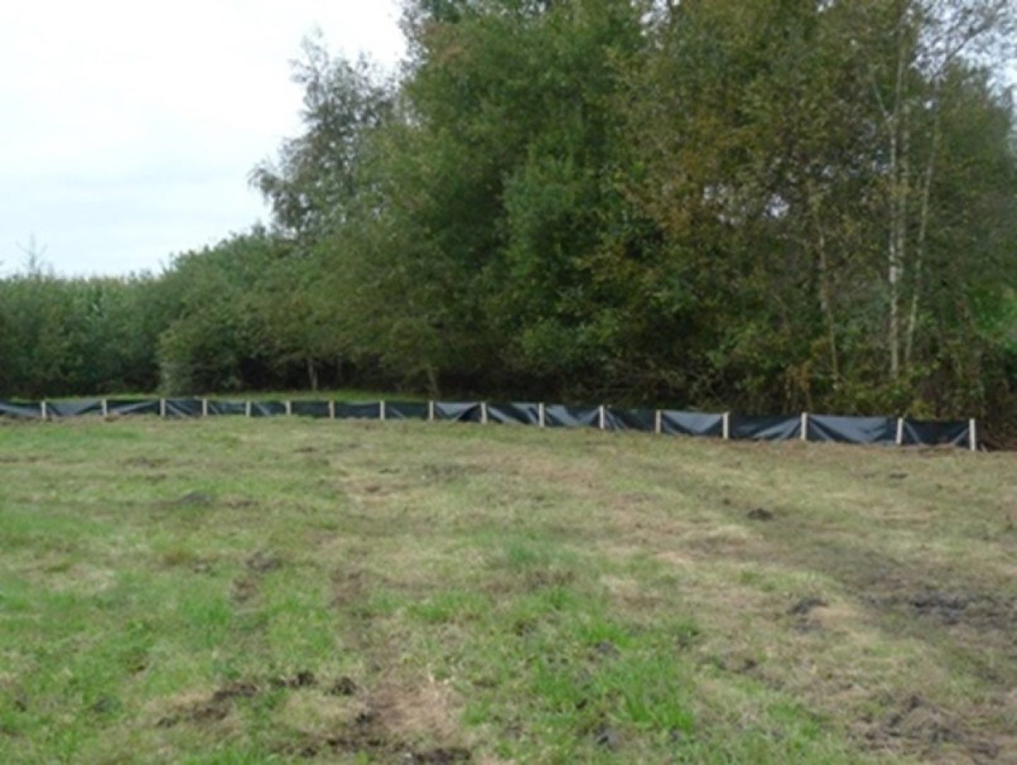 Ecologische voorzorgsmaatregelen Groningen Airport Eelde