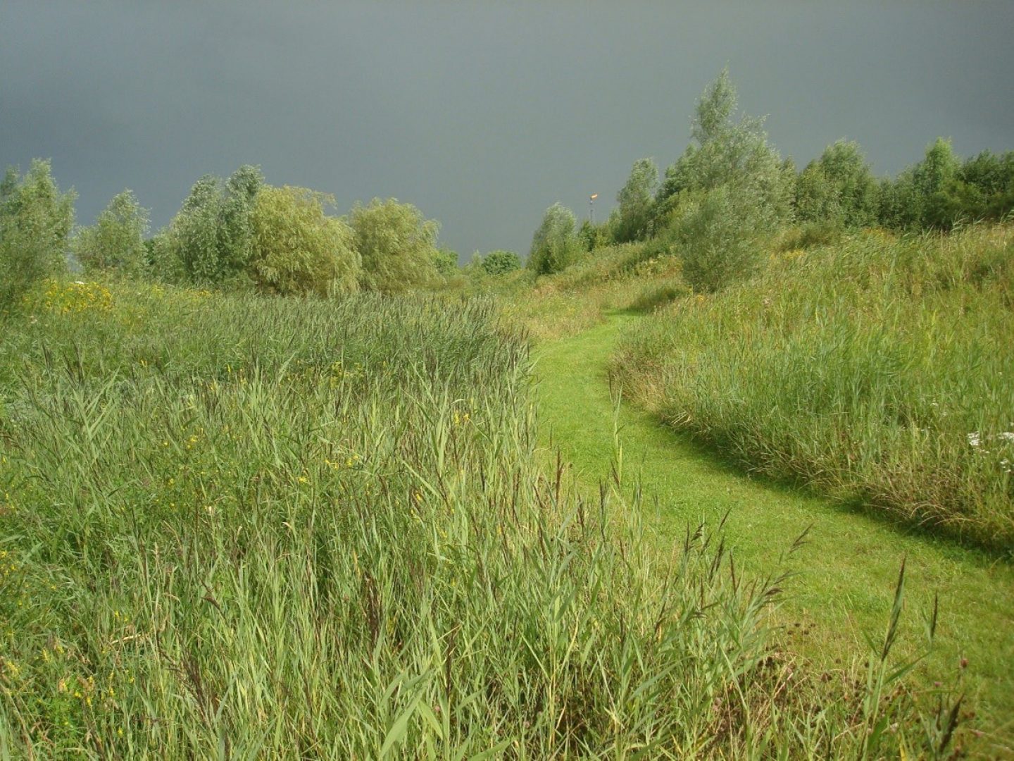 Beheerplan NAM-park Grijpskerk