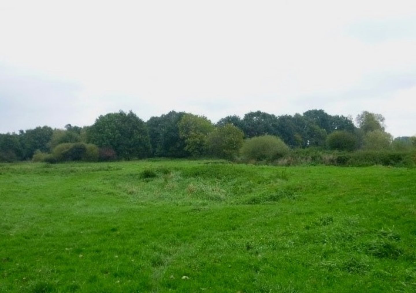 Potentie ontwikkeling stroomdalgraslanden langs de Dinkel