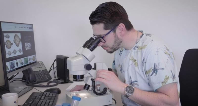 Wij zijn doorgronders