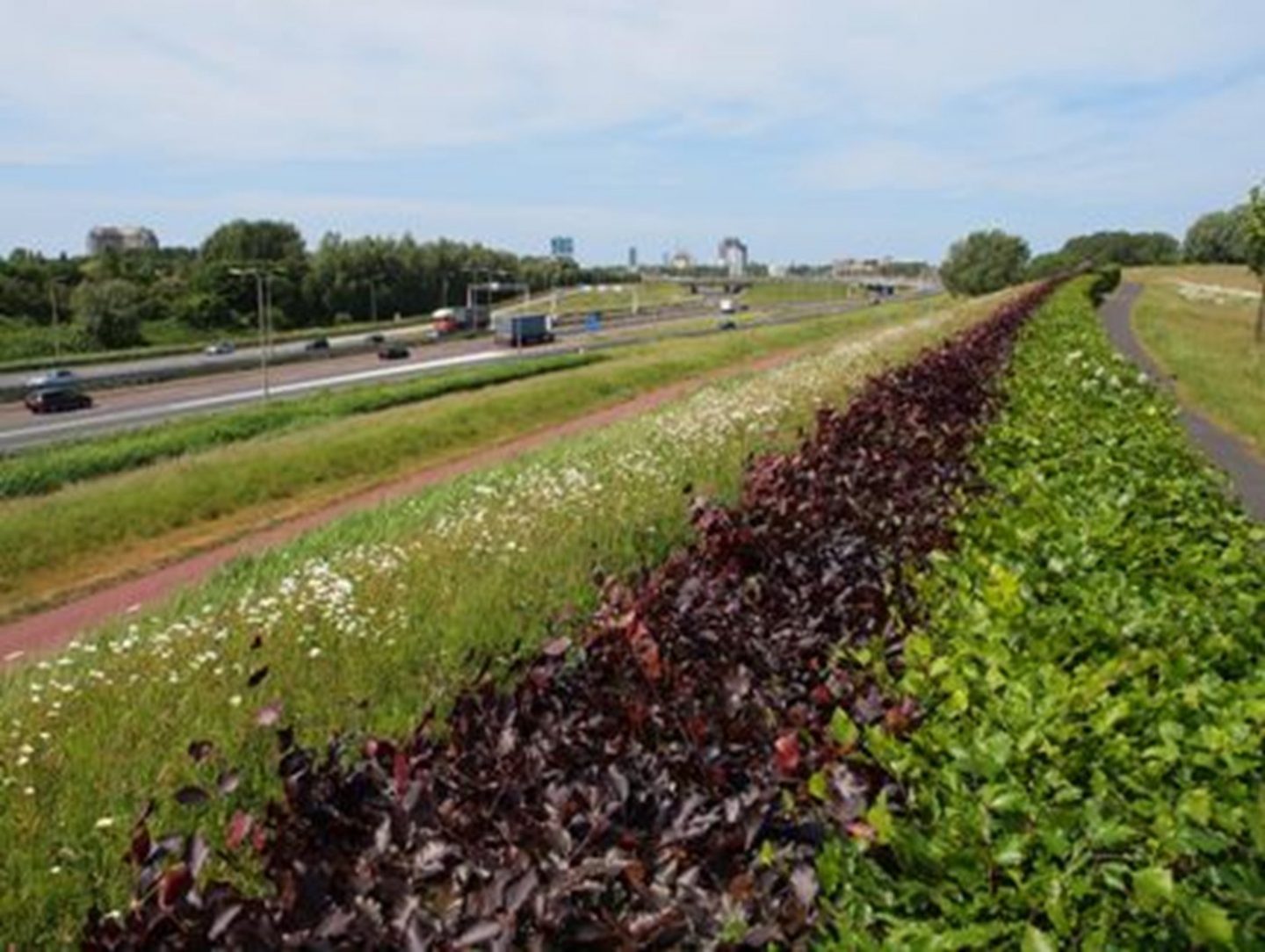 Monitoring ecologische verbindingszone Ypenburg