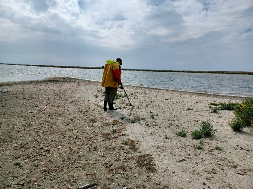 Onderzoek effecten hoekwantvisserij seizoen 2024
