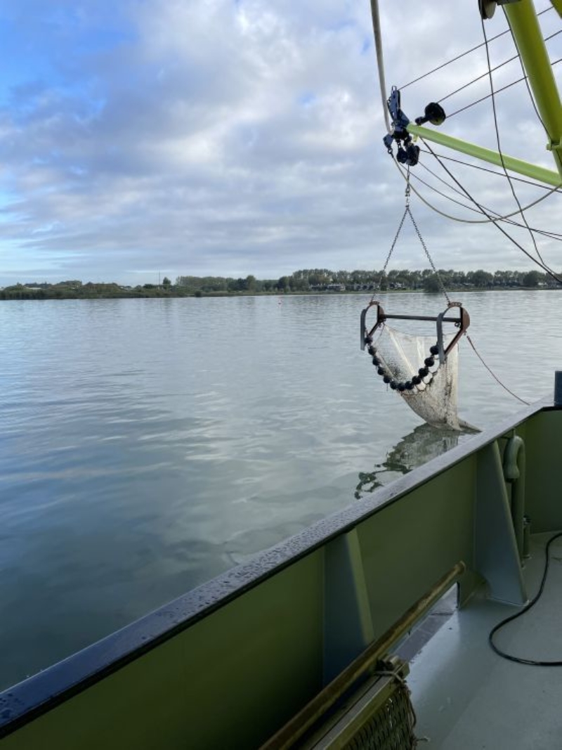 Afbeelding verwijderd.