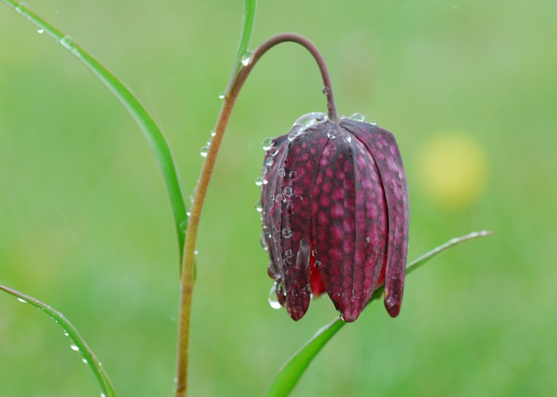 Natura 2000 toetsingen