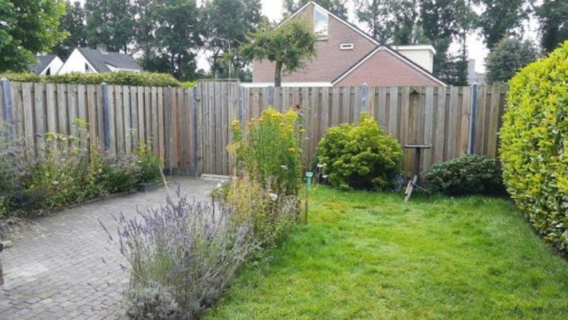 Duizend soorten in de tuin van Rudy