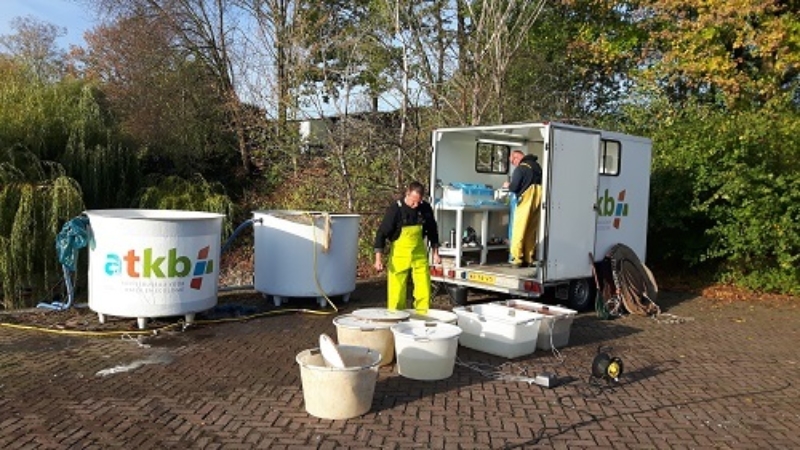 Afbeelding verwijderd.