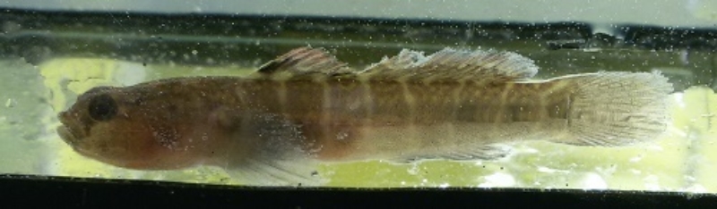 Afbeelding verwijderd.