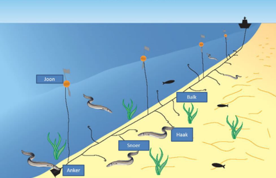 Uitleg van hoekwant met lijn en snoeren 