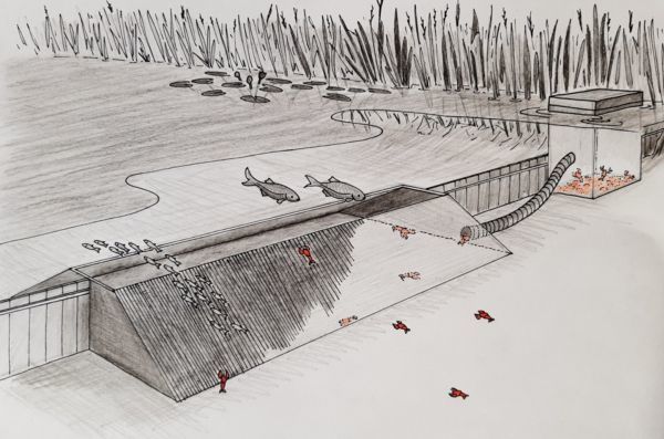 De kreeftengoot; een veelbelovende oplossing om de opmars te beperken