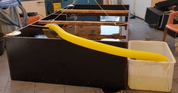 De kreeftengoot; een veelbelovende oplossing om de opmars te beperken