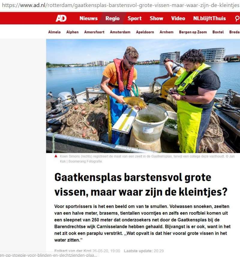 Artikel AD: Gaatkensplas barstensvol grote vissen, maar waar zijn de kleintjes.