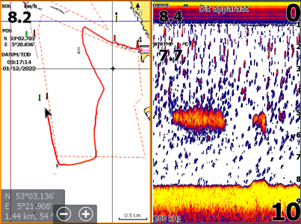 Waarom vinden we weinig oude vissen in het IJsselmeer?