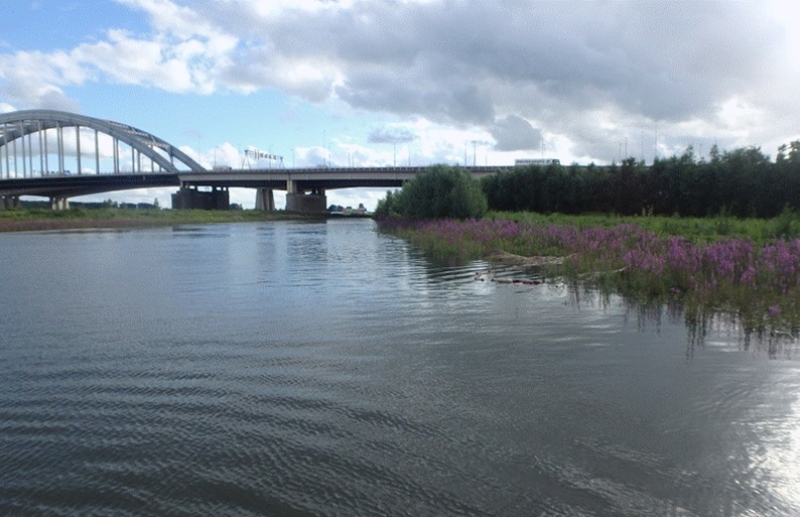 De kraamkamers van de Nederrijn en Lek