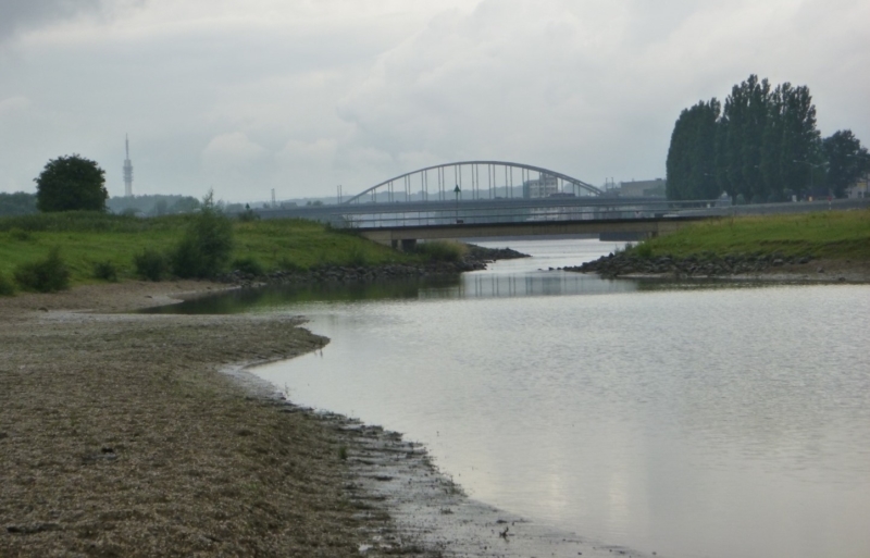 De kraamkamers van de Nederrijn en Lek