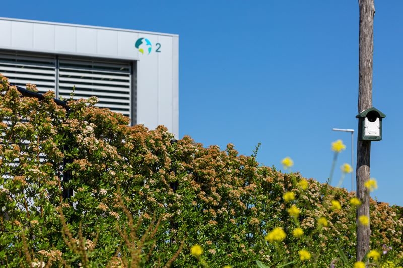 Torenvalken broeden bij distributiecentrum, dankzij BREEAM