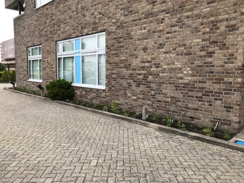 Wat doet u om grijs groener te maken?