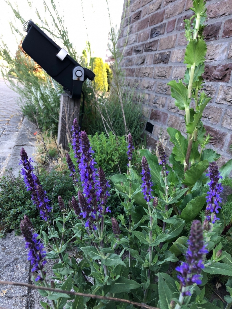 Wat doet u om grijs groener te maken?