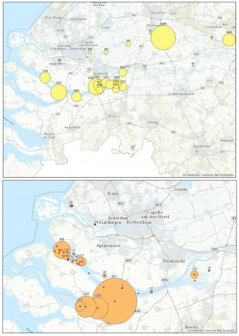 Voldoende voedsel voor steur in de Rijn (publicatie Nature Today)