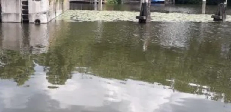 Monitoringsnetwerk voor de temperatuur van het oppervlaktewater in de gemeente Utrecht
