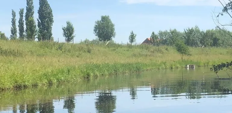 Waterbodemonderzoek uitwateringskanaal Cadzand