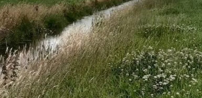 Bedrijfsnatuurplan verbindt landbouw en ecologie