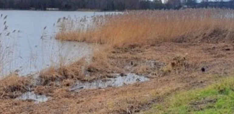 Oeverinspecties voor de gemeente Amsterdam