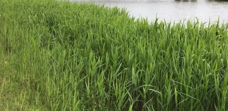 (Water)bodemonderzoek verruimen Twentekanalen