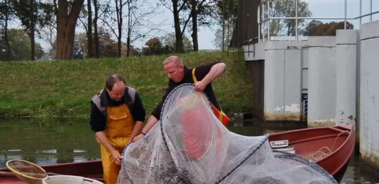 ATKB meet effectiviteit vispassage Doesburg (video)