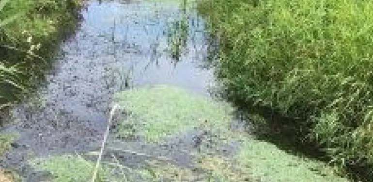 Beekkartering Drentsche Aa