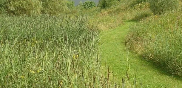 Beheerplan NAM-park Grijpskerk