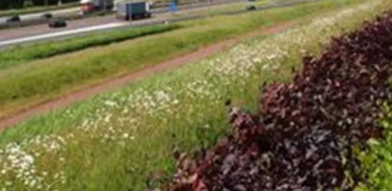 Monitoring ecologische verbindingszone Ypenburg