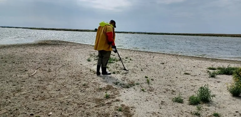 Onderzoek effecten hoekwantvisserij seizoen 2024