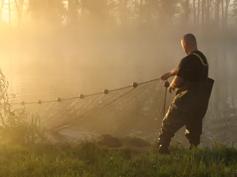 Visnet ophalen in zonsopgang