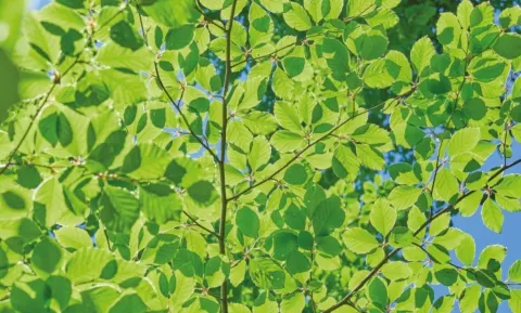 ATKB groot voorstander van verduurzamen in de keten