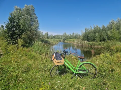 Monitoring van de ecologische kwaliteit van groengebieden en verbindingszones in de Gemeente Amsterdam