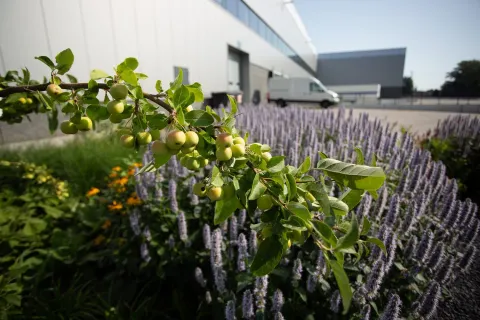 Bent u al klaar voor de nieuwe BREEAM beoordelingsrichtlijn?