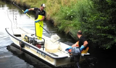 Vissen in de Barneveldse Beek