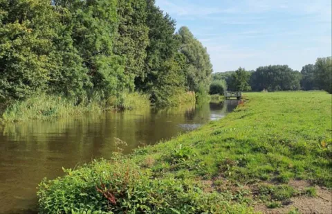 Minder uitheemse rivierkreeften 