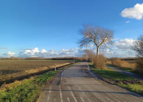 Milieukundige bodemonderzoeken voor Waterschap Scheldestromen