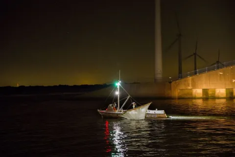 Vismigratieonderzoek bij de Haringvlietsluizen in beeld