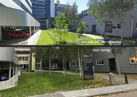 Stad en land baat bij EcoWadi