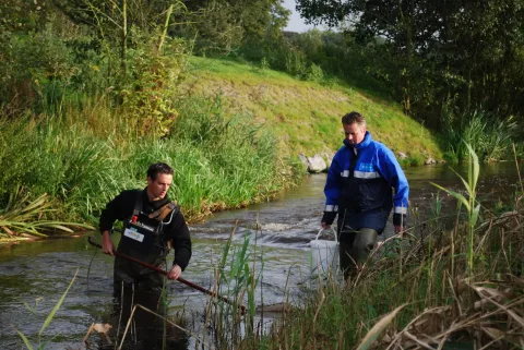 Publicatie op Nature Today: vergelijking eDNA en elektrovissen