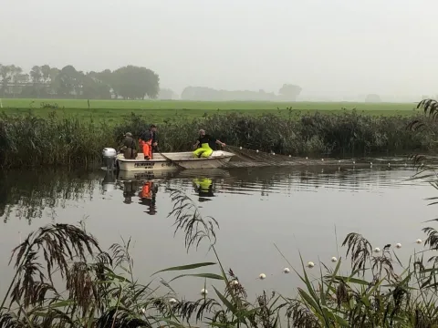Visstandonderzoek in Friese wateren