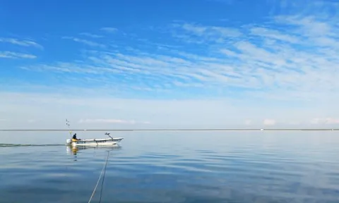 Waarom vinden we weinig oude vissen in het IJsselmeer?