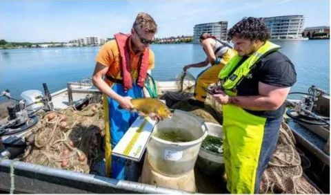 KRW visstandonderzoek voor waterschap Hollandse Delta van start