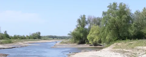 Zijstroom van rivier opgroeigebied voor vis