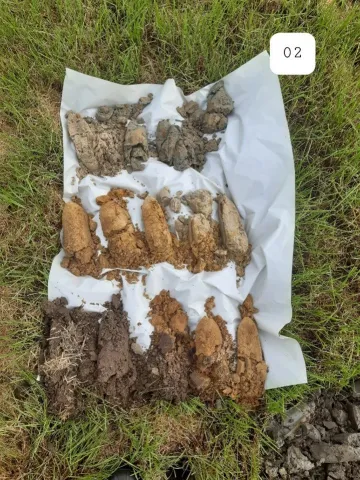 Collega Jan Vermeer over nutriëntenonderzoek